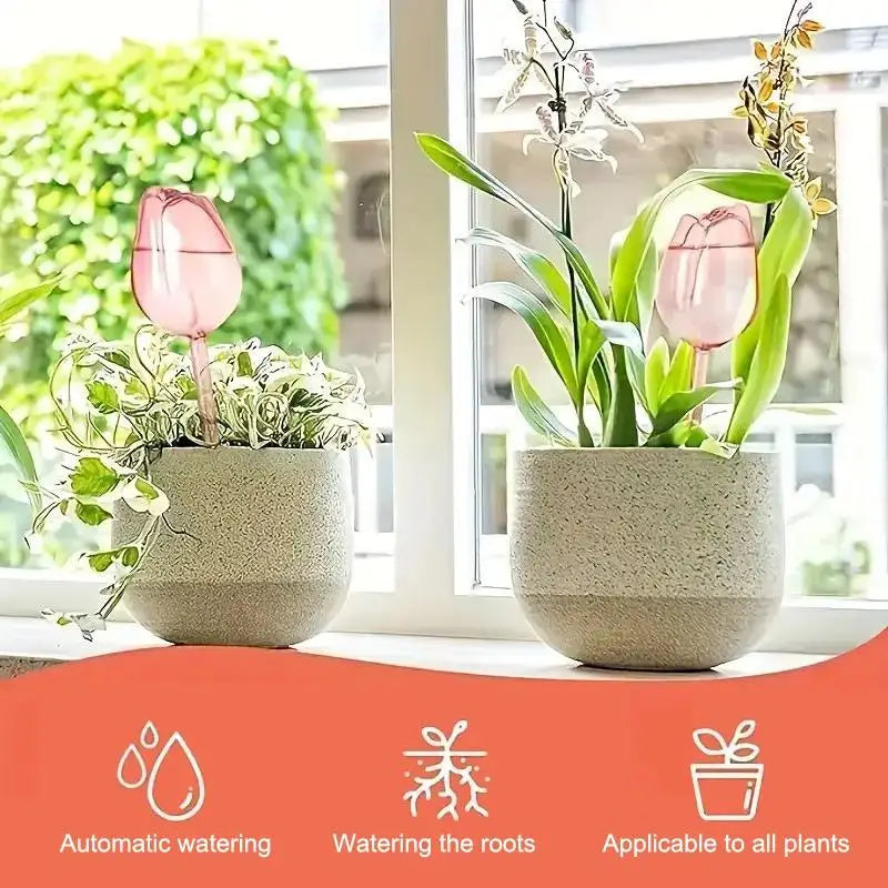 Tulip Watering Globes