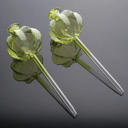 Desert Bloom Watering Bulbs