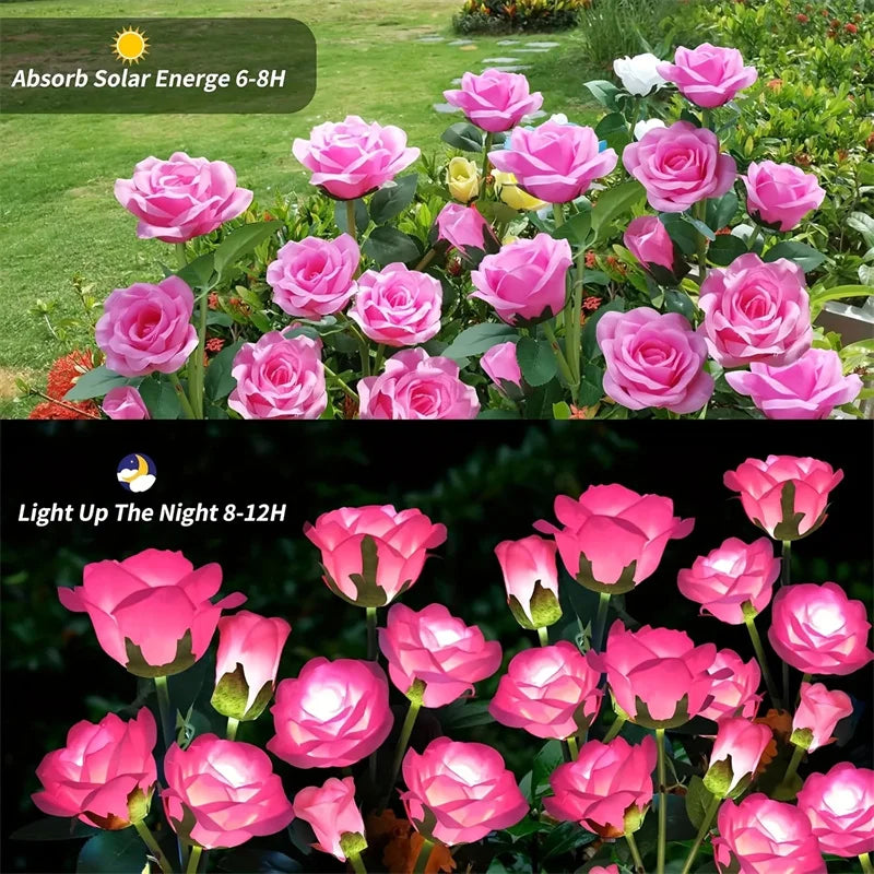 Enchanted Rose Solar Lights