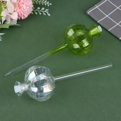 Desert Bloom Watering Bulbs