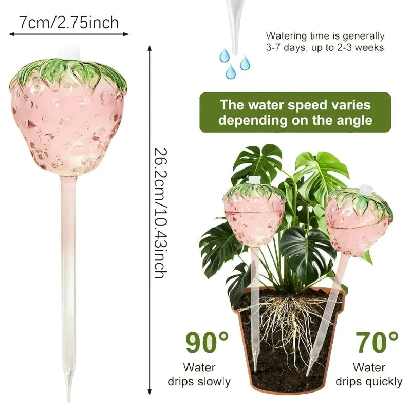 Strawberry Self Watering Globes
