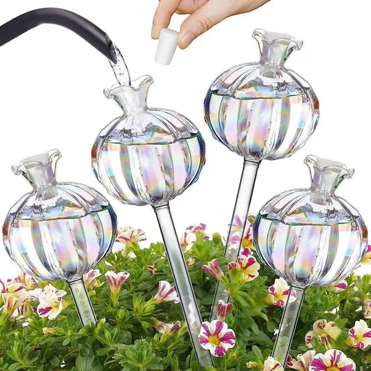Desert Bloom Watering Bulbs