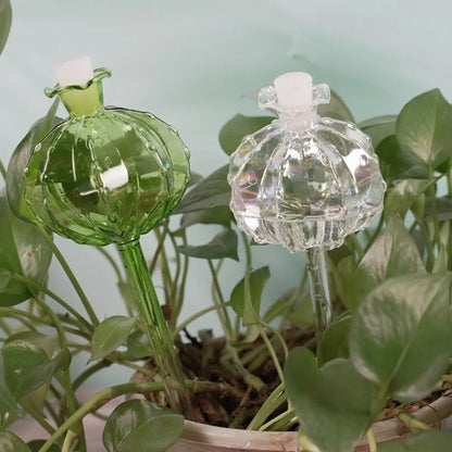 Desert Bloom Watering Bulbs