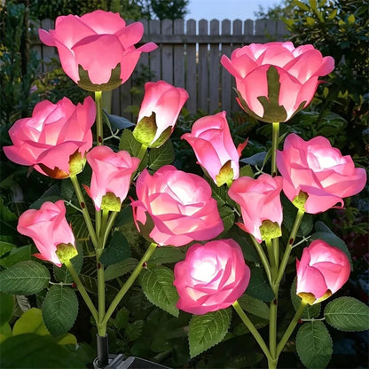 Enchanted Rose Solar Lights