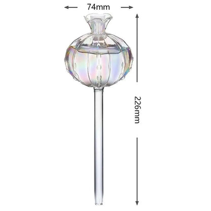 Desert Bloom Watering Bulbs