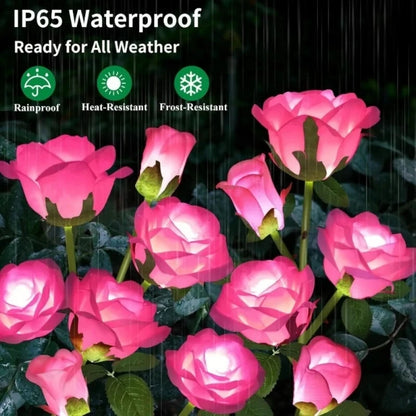 Enchanted Rose Solar Lights